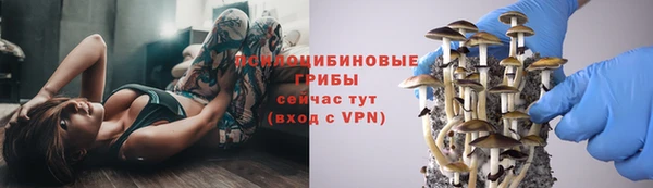 скорость Алексин