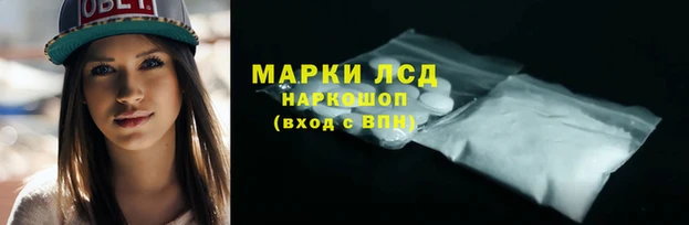 PSILOCYBIN Алзамай