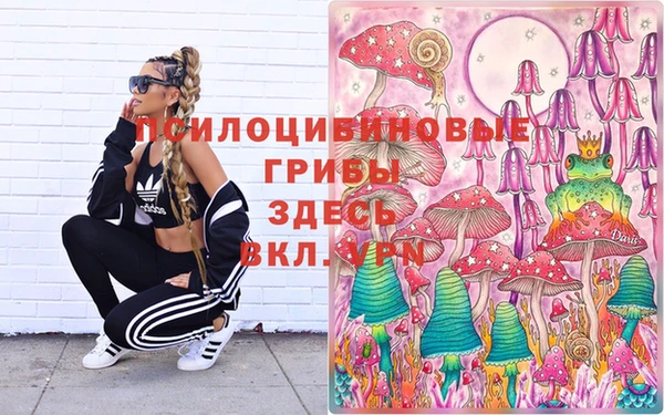PSILOCYBIN Алзамай