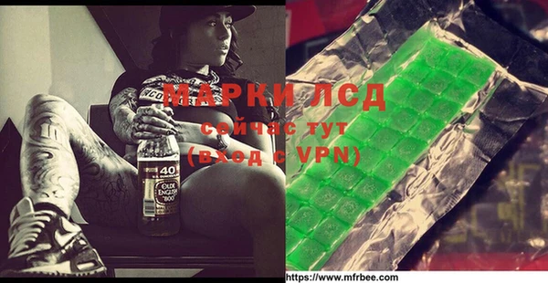 PSILOCYBIN Алзамай