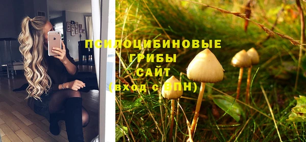 PSILOCYBIN Алзамай