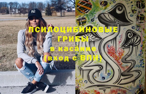 PSILOCYBIN Алзамай