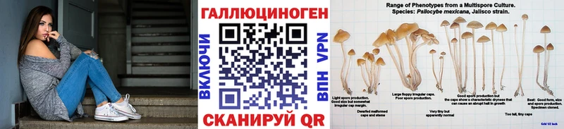 Галлюциногенные грибы мицелий  Москва 